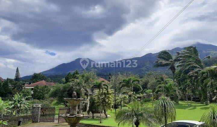 Tanah Murah di Bukit Trawas Garden SHM 5000 m² 1