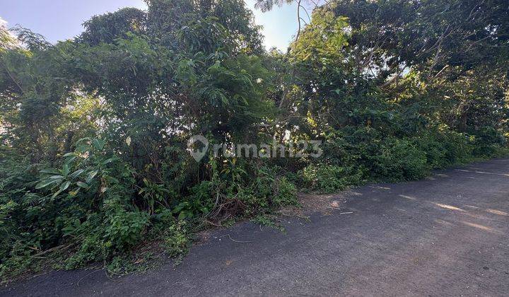 Land For Lease at Ungasan Bali 1