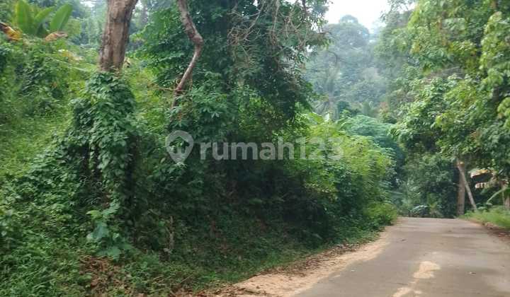 TANAH JUAL MURAH TANAH JUAL MURAH