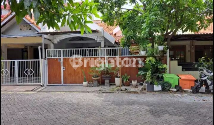 Rumah Asri Depan Fasum di Ykp Pandugo, Surabaya Timur