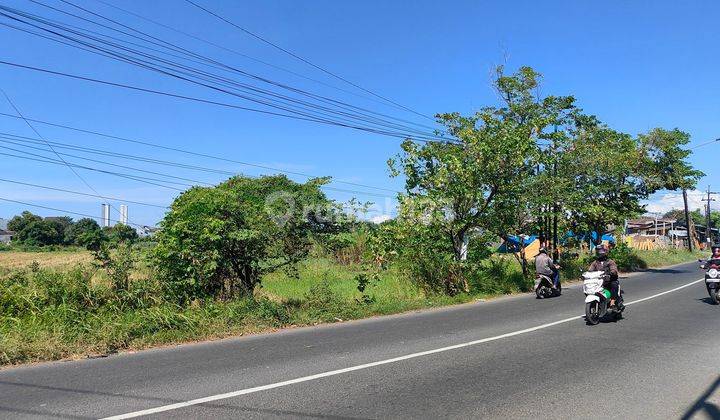 Tanah Luas Terletak di Pinggir Jalan Raya Sarirogo Sidoarjo 2