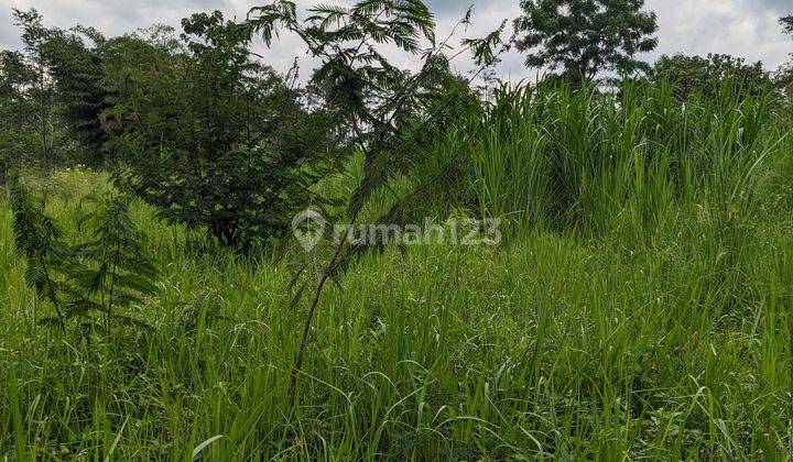 Jual Tanah Jogja View Gunung Merapi Pinggir Jalan Raya Harga 450 Ribu Per M2 2