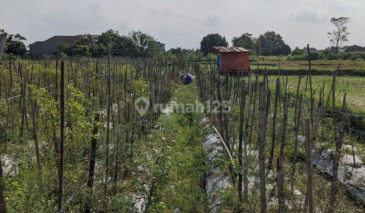 Jual Tanah Jogja Dekat Dengan Calon Exit Tol Sleman 8 Km Ke Ugm 2