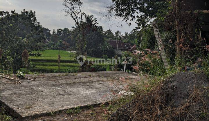 TANAH SLEMAN VIEW SUNRISE SAWAH & AIR MENGALIR DEKAT EXIT TOL 1