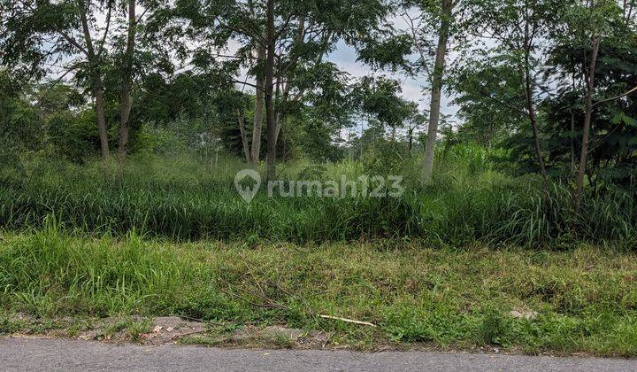 Jual Tanah Jogja View Gunung Merapi Pinggir Jalan Raya Harga 450 Ribu Per M2 2