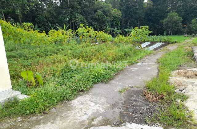 JUAL TANAH JOGJA 1 KM KE KAMPUS UII VIEW SAWAH DAN ALIRAN SUNGAI DI SAMPING KOS KOSAN 2