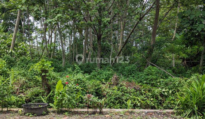 Jual Tanah Jogja Dekat Resto Dan Stadion Maguwoharjo View Pemandangan Swah Akses Jalan Mudah Hunian Ab 2