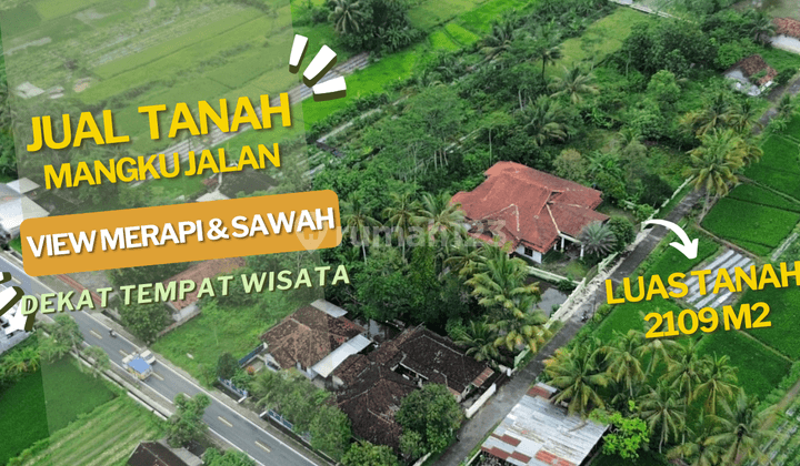 Jual Tanah Jogja View Merapi Dan Sawah Area Pemukiman Dekat Jalan Provinsi Dan Tempat Wisata 1