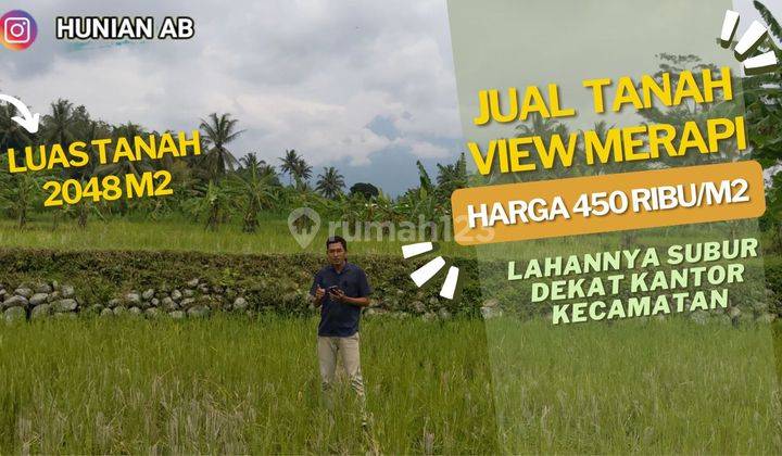  Jual Tanah Sawah Jogja View Merapi Luas 2048 M2 Dapat Air Mengalir Harga 450 Ribu Per M2 1