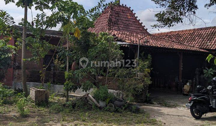 Jual Rumah Jogja 10 Menit Ke Alun Alun Kidul Harga 395 Juta Rumah Nuansa Jawa Dekat Jalan Provinsi 2