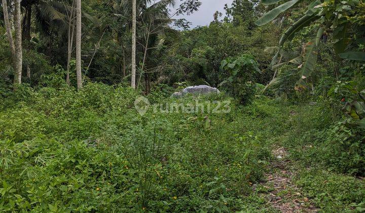  Jual Tanah Jogja Harga 195 Juta Dekat Wisata Ledok Sambi Dekat Air Mengalir Dan Villa Potensi Tempat Wisata 1