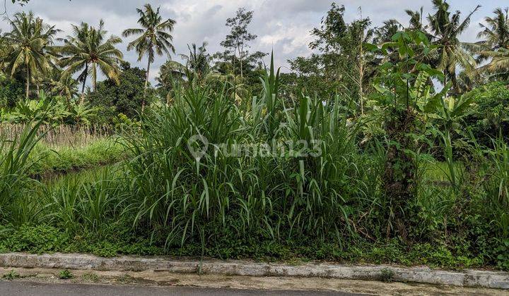 Jual Tanah Jogja View Merapi Dikelilingi Mata Air 15 Menit Ke Kampus Uii Harga Dibawah Pasar 2