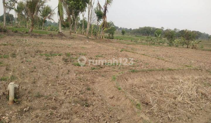 Dijual Murah Tanah Cikareo Tangerang 1