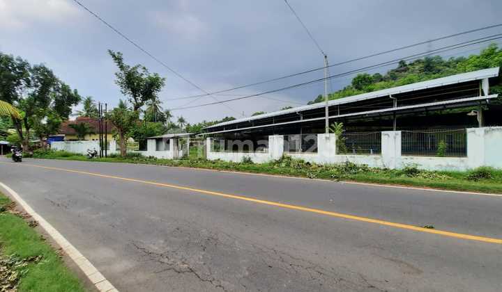 Seririt - Gilimanuk Road, Bali Seririt - Gilimanuk Road, Bali