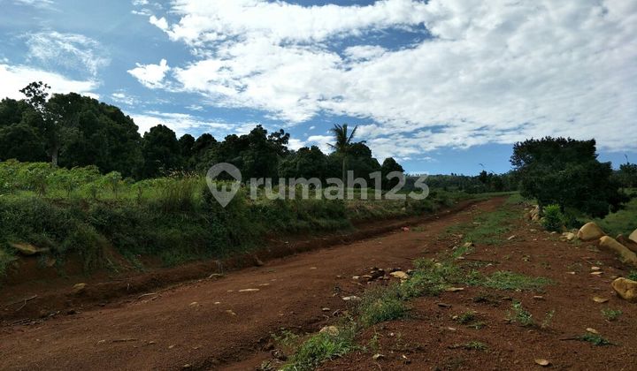 For Sale: Residential Plot in Sentul - Hambalang, Bogor Regency, with Housing Permit For Sale: Residential Plot in Sentul - Hambalang, Bogor Regency, with Housing Permit
