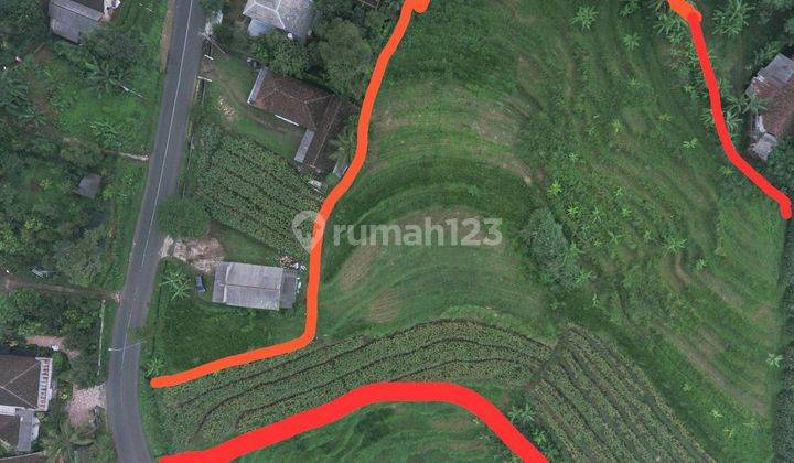 Tanah 7980 M2 Cuma 750 Ribu Permeter Di Raya Trawas , Trawas 2