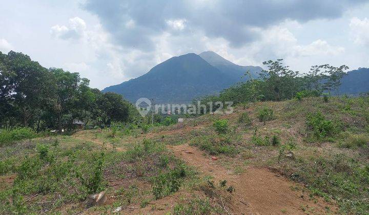 Tanah View Gunung Penanggungan di Desa Sugeng Trawas, Mojokerto 1