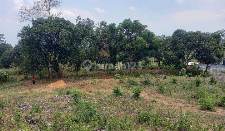 Tanah View Gunung Penanggungan di Desa Sugeng Trawas, Mojokerto 2