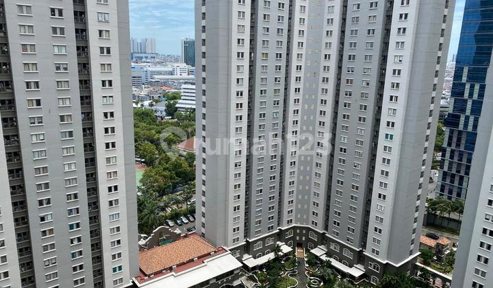 Disewakan Bisa Harian Jika Bulanan Min 3 Bulan Apt Medit 1 Tipe 1 Kamar Furnish Ada Sofa Bed Dan Kasur Ukuran Utk 1 Orang 2