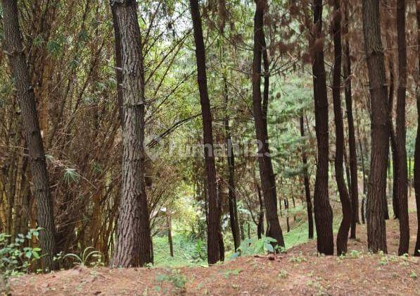Lokasi Di Atas Perumahan Sumarecon Bogor Pas Di Atas Perumahan Cocok Buat Cafe Dan Resot 2