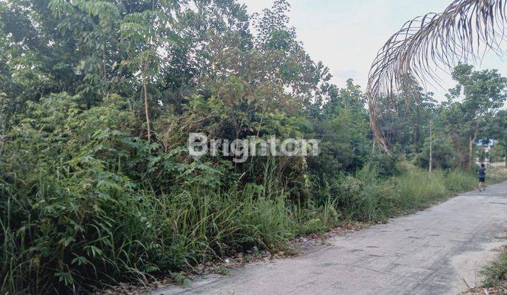 cepat Tanah luas 2000m di seroja 1