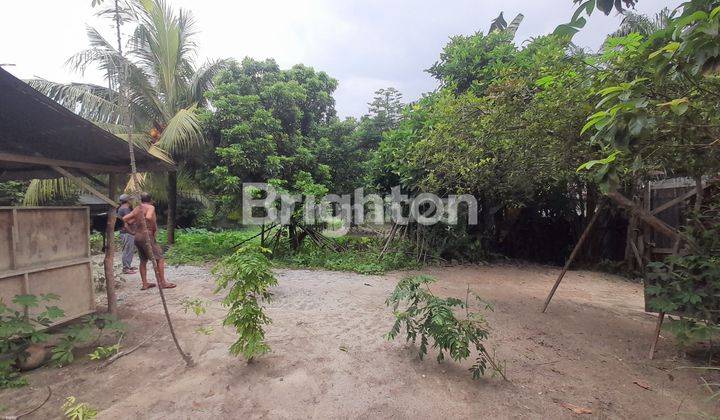 DIJUAL TANAH MURAH LOKASI TENGAH KOTA HANGTUAH 1