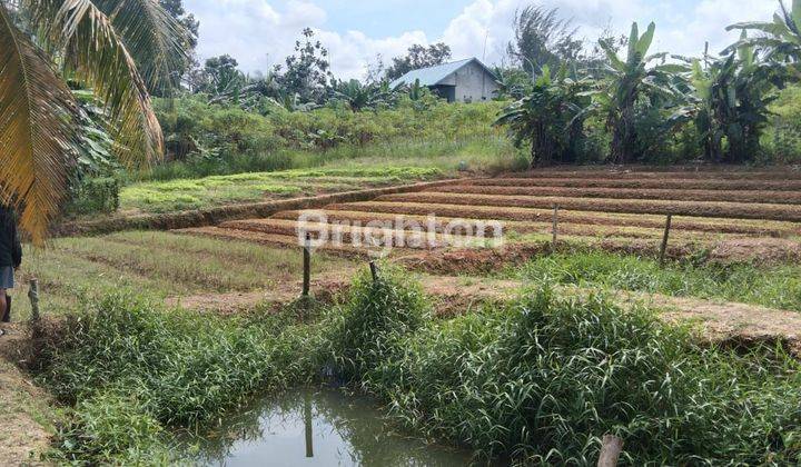 LAHAN CANTIK SIAP BANGUN LAMARU 2