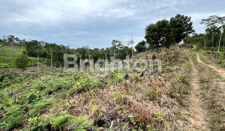 DIJUAL TANAH DI KM 8 DEKAT STT MIGAS DAN PERUMAHAN EL FAZZA LAND 2