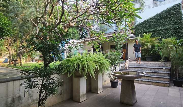 Dijual Tanah Di Setiabudi Jaksel Lokasi Strategis Dijual Tanah Di Setiabudi Jaksel Lokasi Strategis