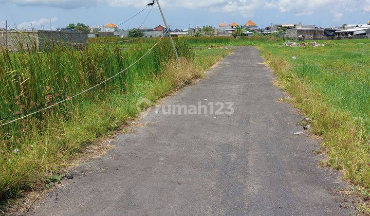 Dijual Tanah Daerah Pedungan, 1