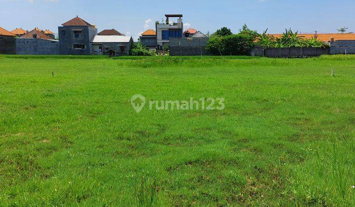 Dijual Tanah Daerah Pedungan, 2