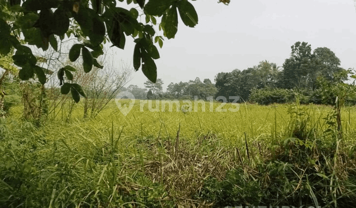 Tanah Kp Baru Baros Harga Miring Nego Sampai Deal