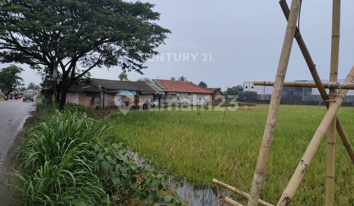 Tanah Bojonegara Multifungsi Akses Tol Cilegon Timur