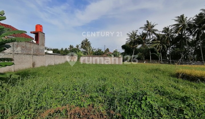 Tanah Kavling Ciceri Permai Pusat Kota Akses Tol Tanah Kavling Ciceri Permai Pusat Kota Akses Tol