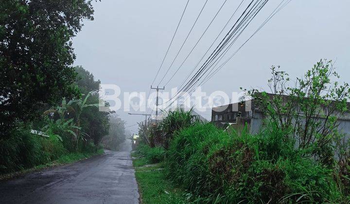 LAHAN SEJUK SEBATU TEGALALANG 1