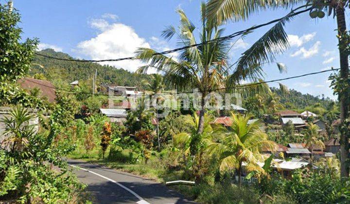 LAHAN SUDAH ADA KEBUN BUAH 2