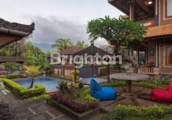 FOR SALE VILLA LOVINA SINGARAJA 2