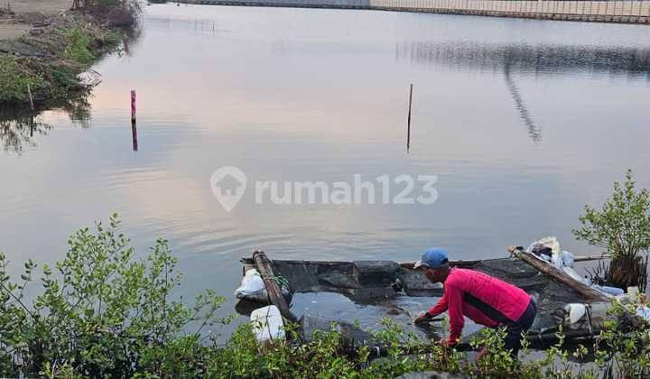 "Lahan Industri 4 Hektar Kaliwungu Kendal - Strategis Dekat Kawasan Industri Kendal (Kik)"