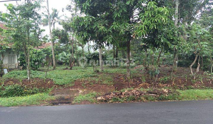 Dijual Tanah Lokasi Strategis  Di Pinggir Jalan, Sukorejo 2