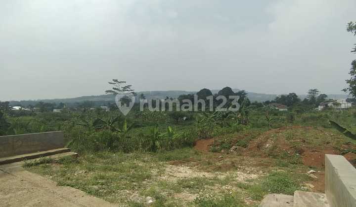 Dijual Tanah di Babakan Madang Sentul Dijual Tanah di Babakan Madang Sentul