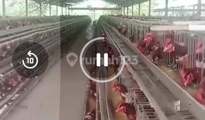 Dijual Tanah Rumpin Bogor