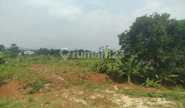 Tanah Murah Di Bogor Siap Bangun Tanah Murah Di Bogor Siap Bangun