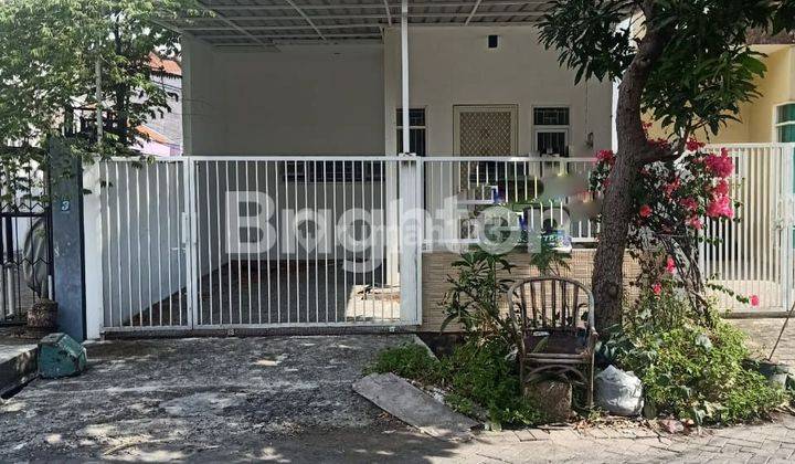 RUMAH BARU GRESS DI PLOSO TIMUR - SURABAY 1