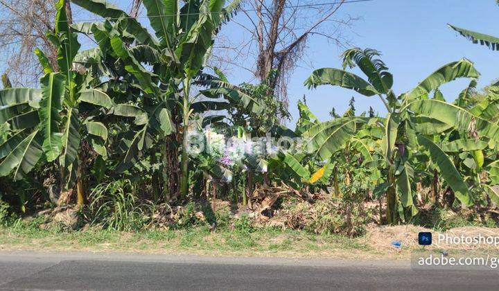 Tanah komersil diarea industry raya putar lor, boboh- menganti , gresik 1