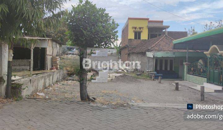 TANAH DESA TENARU, cangkir driyorejo gresik 2