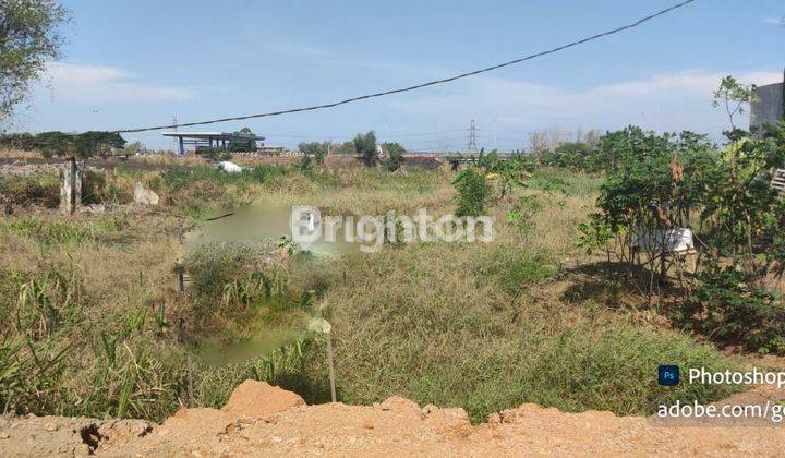 TANAH LUAS RAYA KEDAMEAN LEGUNDI GRESIK 1