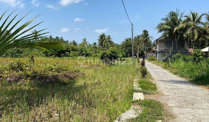 Tanah Kulonprogo Dekat Wates Kota Area Perkantoran, Jogja 1