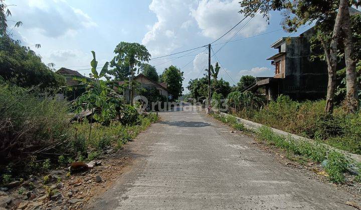 Jual Tanah Berbah Jogja Murah LT 200 m2, Tepi Aspal 2