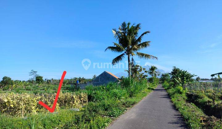 Jual Tanah Palagan Jogja, Tepi Aspal Cocok Hunian View Merapi 2