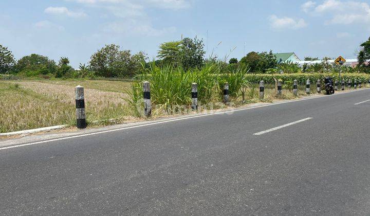  Tepi Aspal Jl Sidokarto, Jual Tanah Sleman Dekat Sma Godean Jogja 1